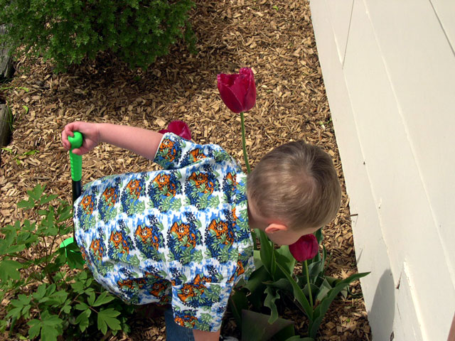 jack_flowers.jpg
