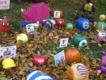 all_pumpkins.jpg