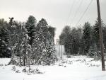new_years_0501.jpg
