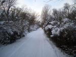 trail2.jpg