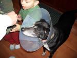 Buddy and his Lamp Shade.