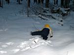 new_years_0528.jpg