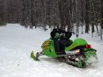 new_years_0530.jpg