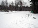 new_years_0535.jpg