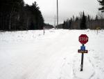 new_years_0536.jpg