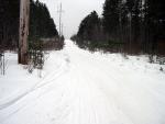new_years_0537.jpg