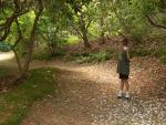 capecod_08_plantation_6.jpg