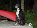 buddy_lando_0708.jpg