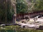 disney09_45.jpg