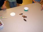 jacks_7th_bday_08.jpg