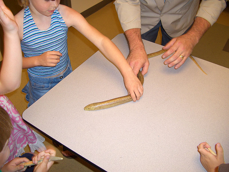 jacks_7th_bday_14.jpg