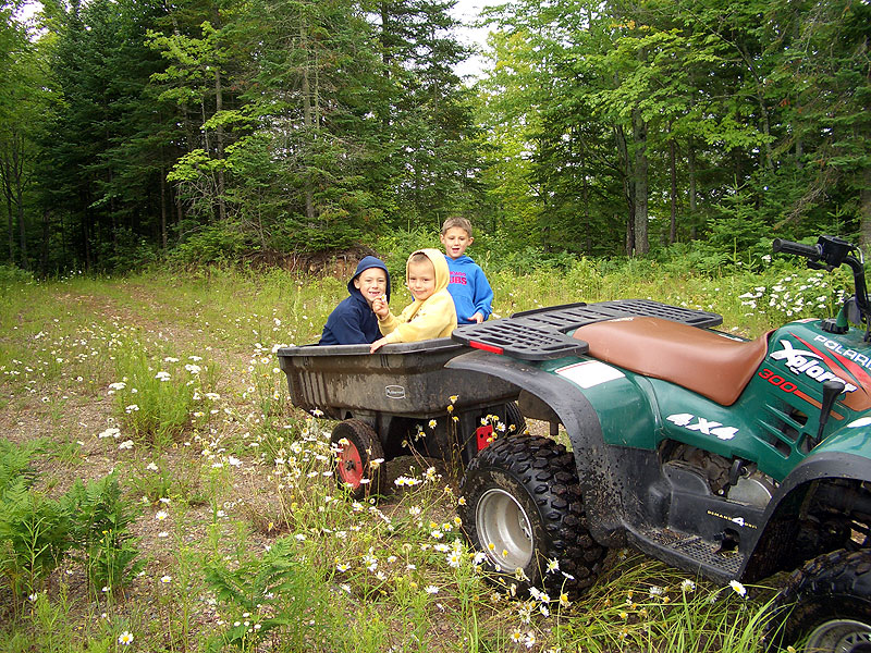 land_o_0709_21.jpg