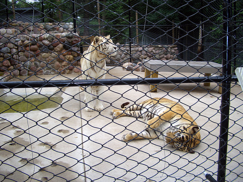 land_o_0709_33.jpg