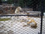 land_o_0709_33.jpg