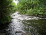 land_o_0709_6.jpg