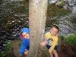 land_o_0709_8.jpg