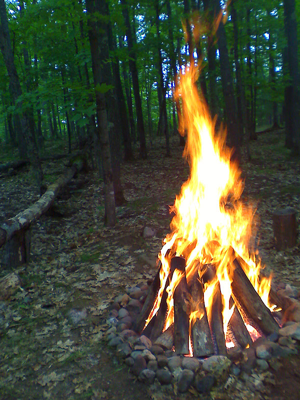 woods_fire
