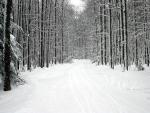 late_jan06_06.jpg