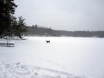 new_years_trip_0910_06.jpg