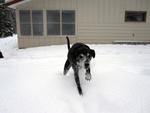 new_years_trip_0910_07.jpg