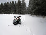 new_years_trip_0910_27.jpg