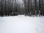 new_years_trip_0910_38.jpg