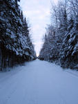 trail_17_looking_south.jpg