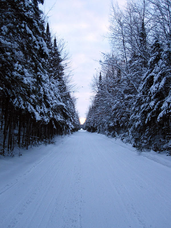 trail_17_looking_south.jpg