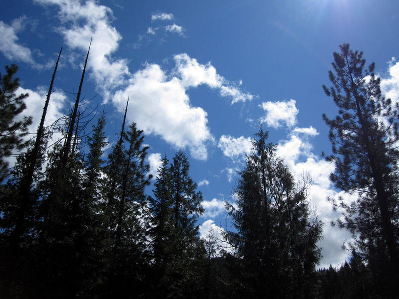 montana2010_hotsprings_11.jpg