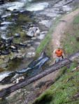 montana2010_hotsprings_5.jpg
