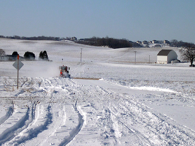 madison_groomer.jpg