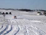madison_groomer.jpg