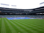 wrigley_tarp_100612.jpg