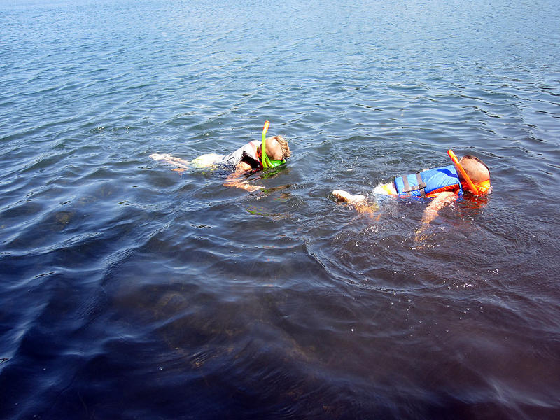 boys_scuba2.jpg