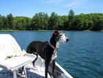 buddy_boat.jpg