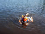 owen_scuba_gear.jpg