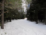 feb_1202_20.jpg