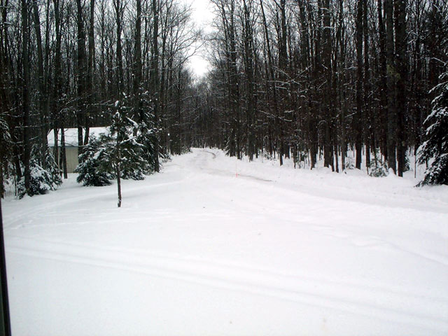 driveway.jpg