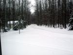 driveway.jpg