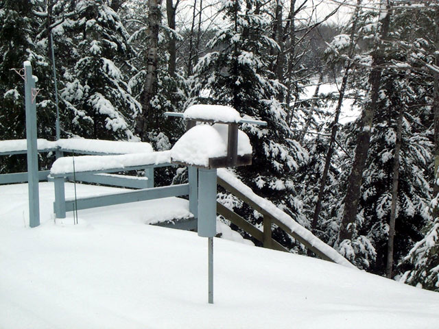 snowy_lake_steps.jpg